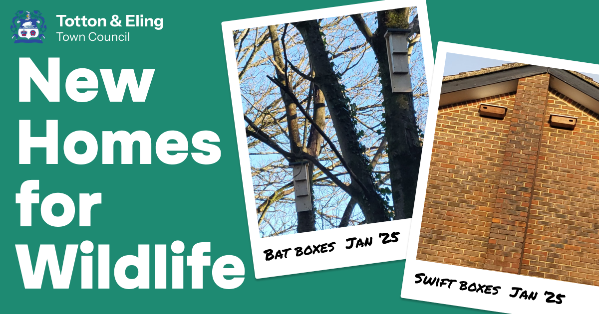 Wildlife Homes banner