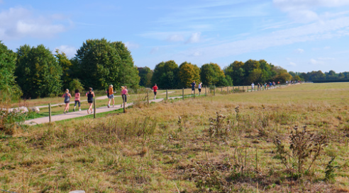 bartley park runners